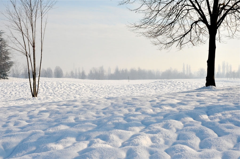 neve campagna