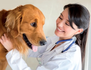 veterinario animali
