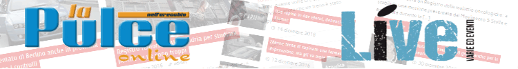 banner pulce-live-def