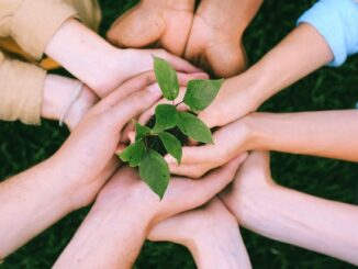 green plant on people s hands