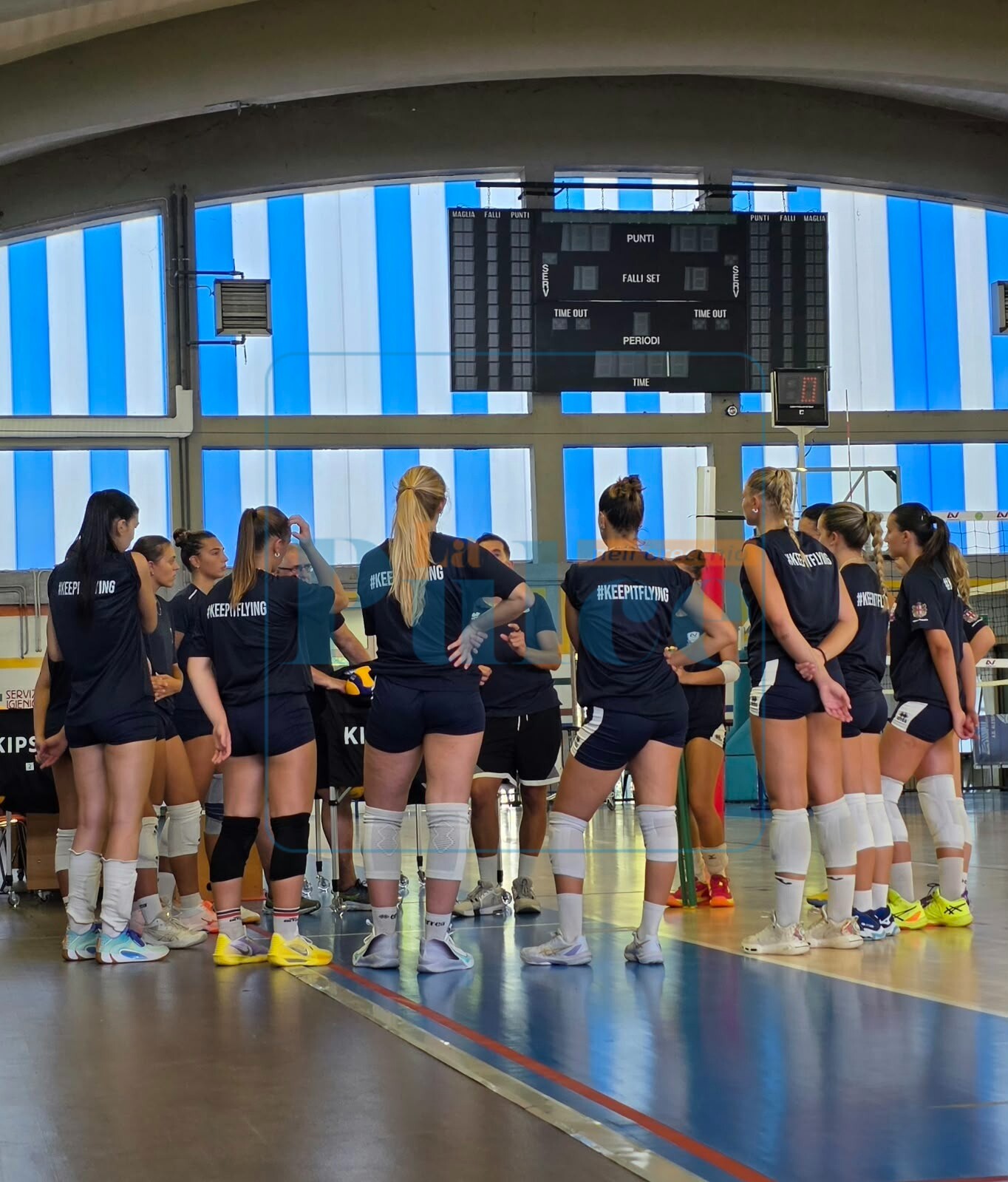 Fenomeno Alessandria Volley Boom Di Adesioni Tra I Giovani Dietro fenomeno-alessandria-volley-boom-di-adesioni-tra-i-giovani-dietro